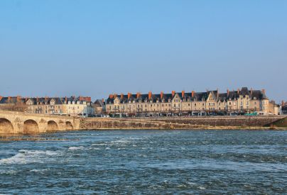 Le front de Loire du quartier Vienne