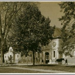 Cheval et homme - � Service mutualis� des Archives de la Ville de Blois, d'Agglopolys et du CIAS du Blaisois