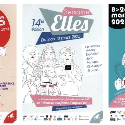 Flyers des 13e, 14e et 15e �ditions de la Semaine Elles. � Illustration : brindilles_et_gribouillages. Service mutualis� des Archives de la ville de Blois, d'Agglopplys et du CIAS du Blaisois, 27 Z 2.