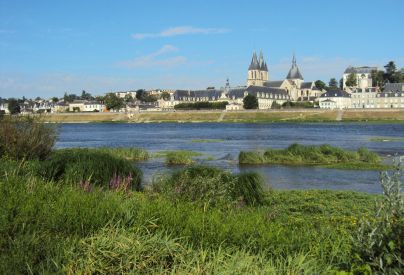 Les bords de Loire du quartier Vienne